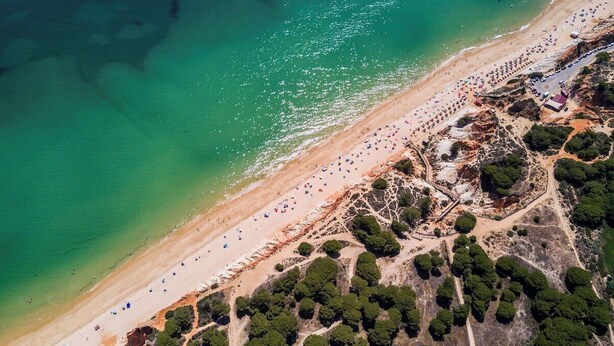 Vista aérea de una playa con agua turquesa cristalina, orilla arenosa y árboles dispersos.