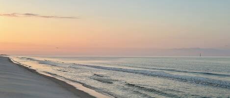 Sun-loungers, beach towels