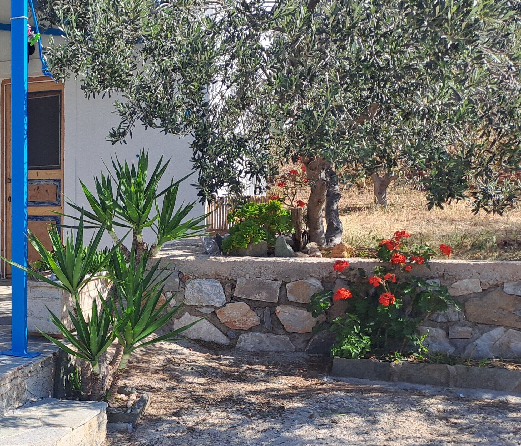 A stone wall with a garden, including red flowers and green plants.