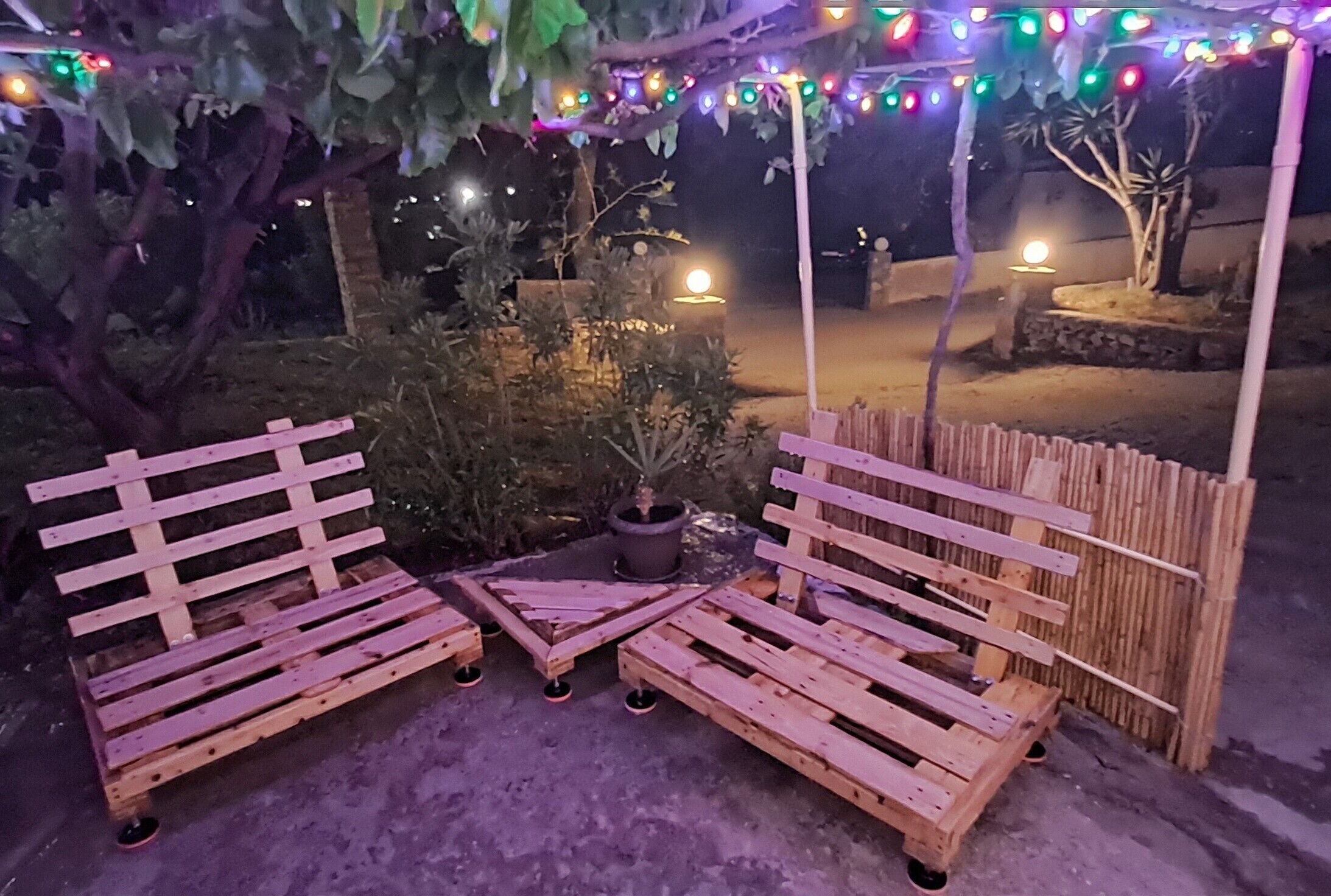 A wooden bench seating area with a potted plant and string lights.