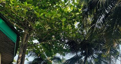 Simple and Eco friendly Beach Resort and bungalows , seafood ,vegetarian 4