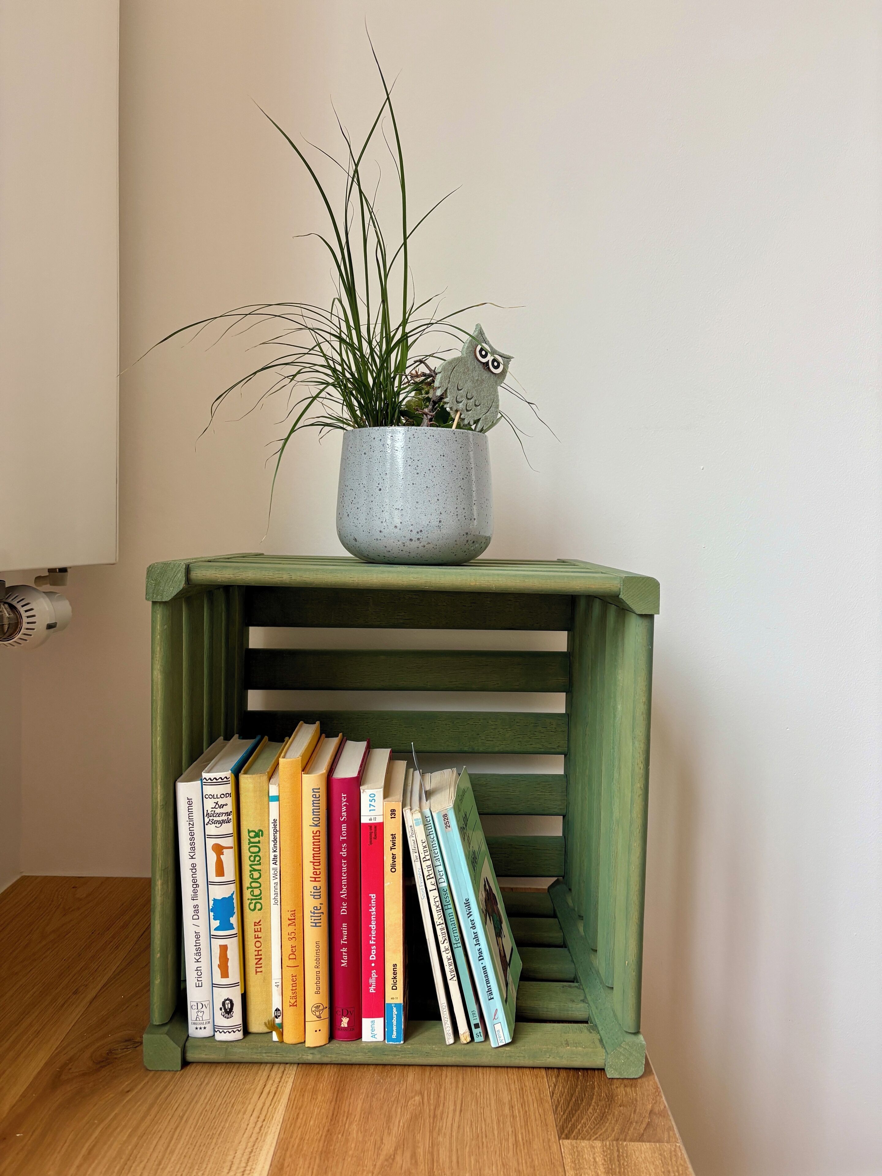 Une bibliothèque en bois avec une plante en pot et des livres.