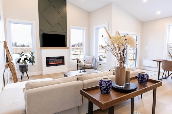 TV, fireplace