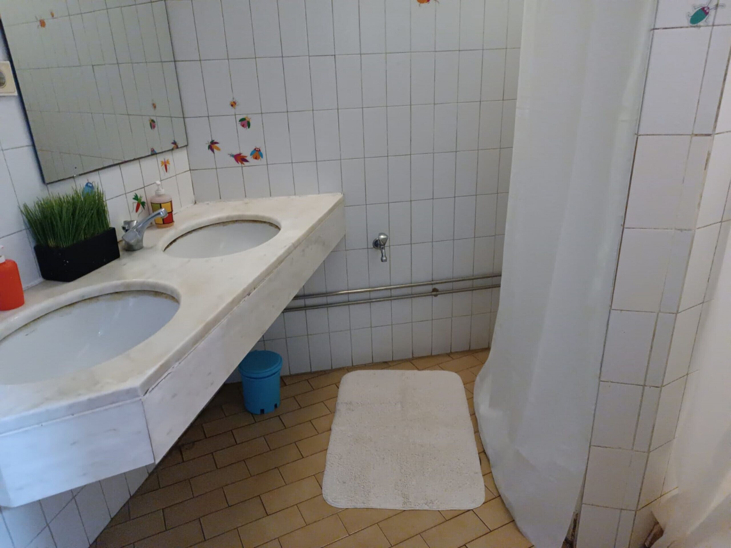 Kylpyhuoneessa on kaksi pesuallasta, peili, suihkuverho ja pieni matto.