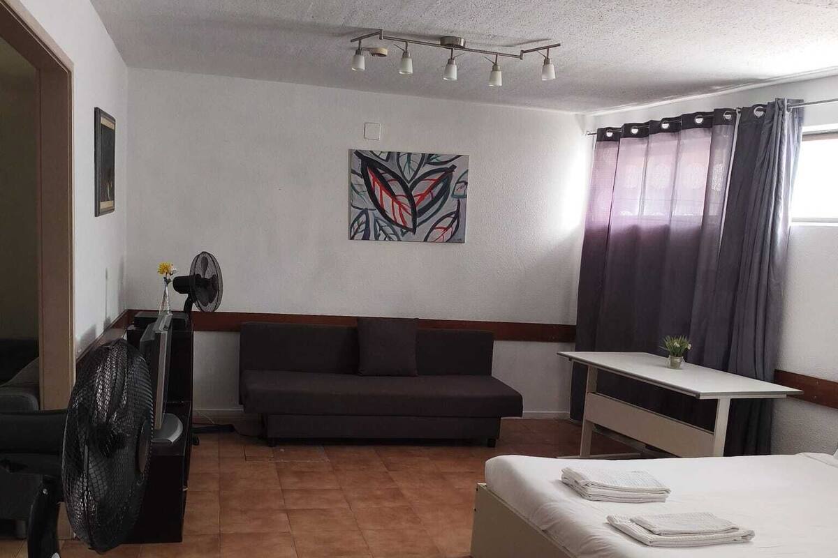 A hotel room with a bed, a desk, a couch, and a fan.