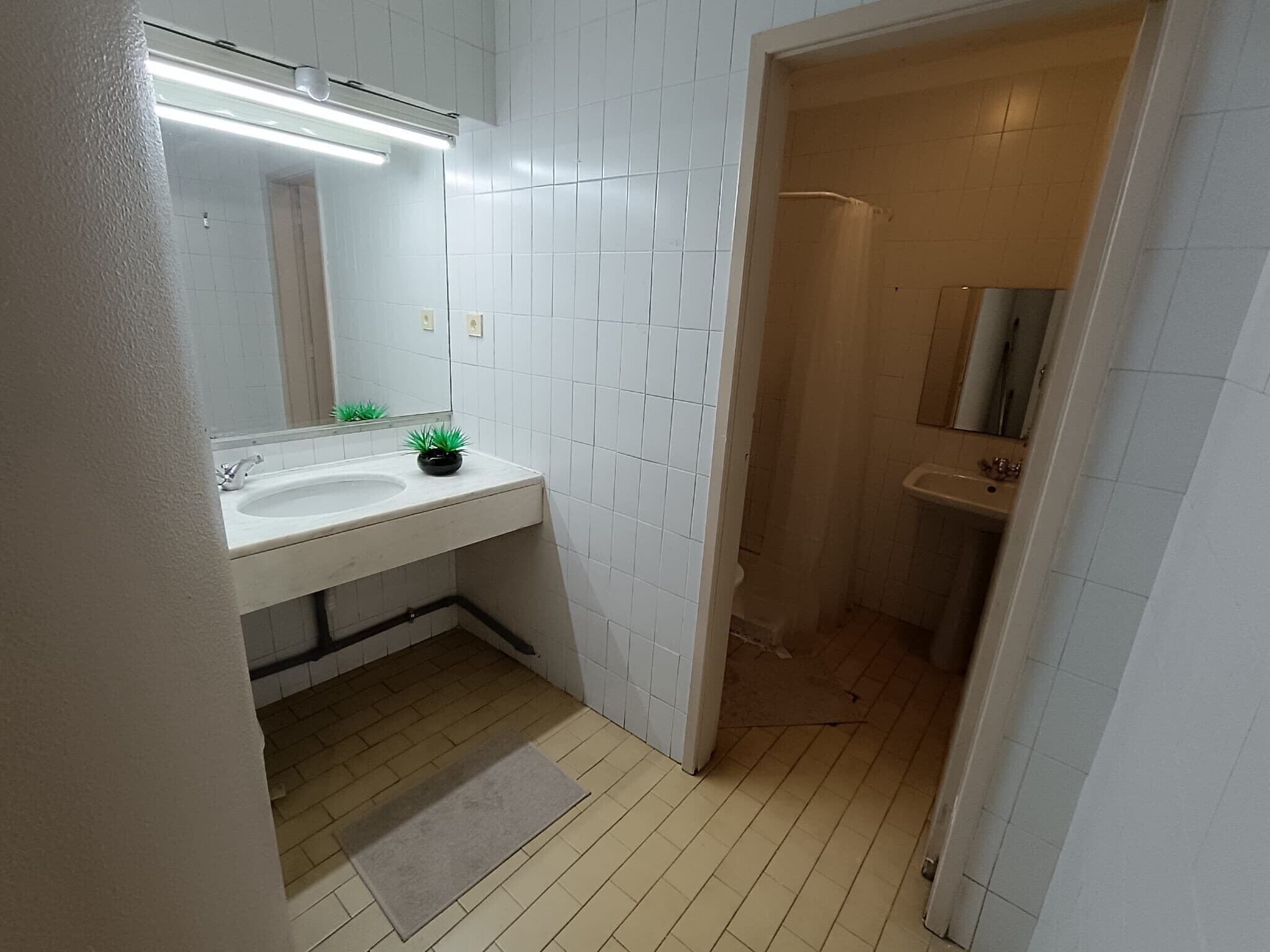 Un baño con pared de azulejos blancos, un lavabo con espejo, una pequeña planta en maceta y una zona de ducha.