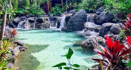 Spacious studio resort sleep 5 within 5 minute walk to Magic Kingdom