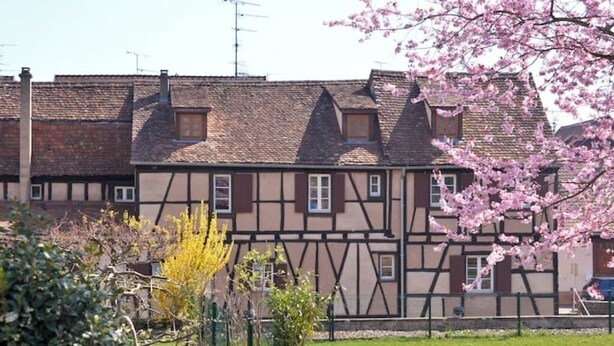 Ein traditionelles Fachwerkhäuschen mit geneigtem Dach, umgeben von einem gepflegten Garten mit blühenden Bäumen und einer Bank.