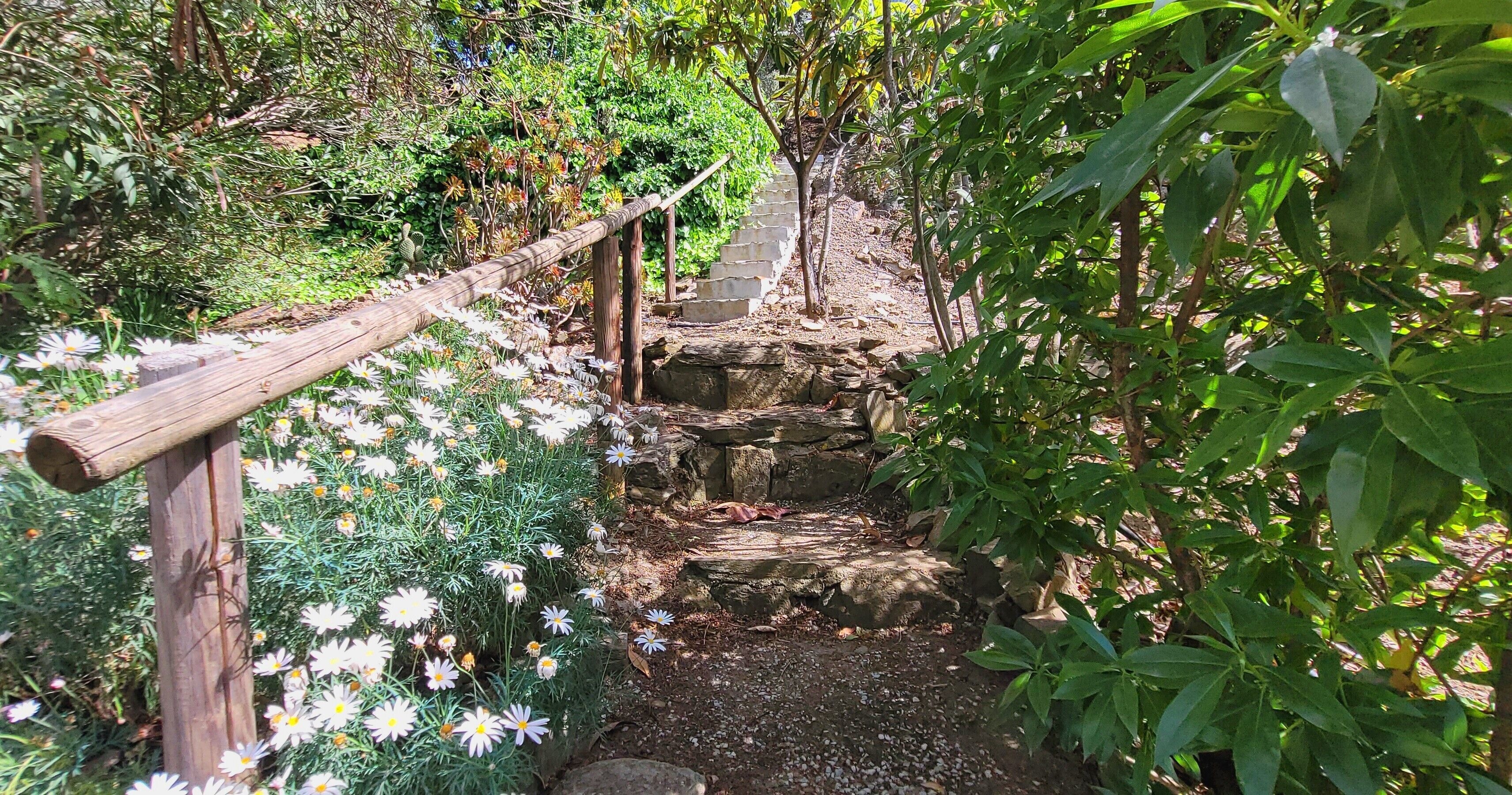 Jardines del alojamiento
