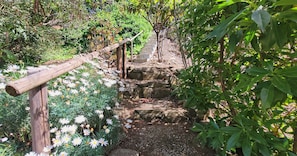 Un sentier de jardin bordé d’une clôture en bois, agrémenté de pas japonais et de différentes plantes.