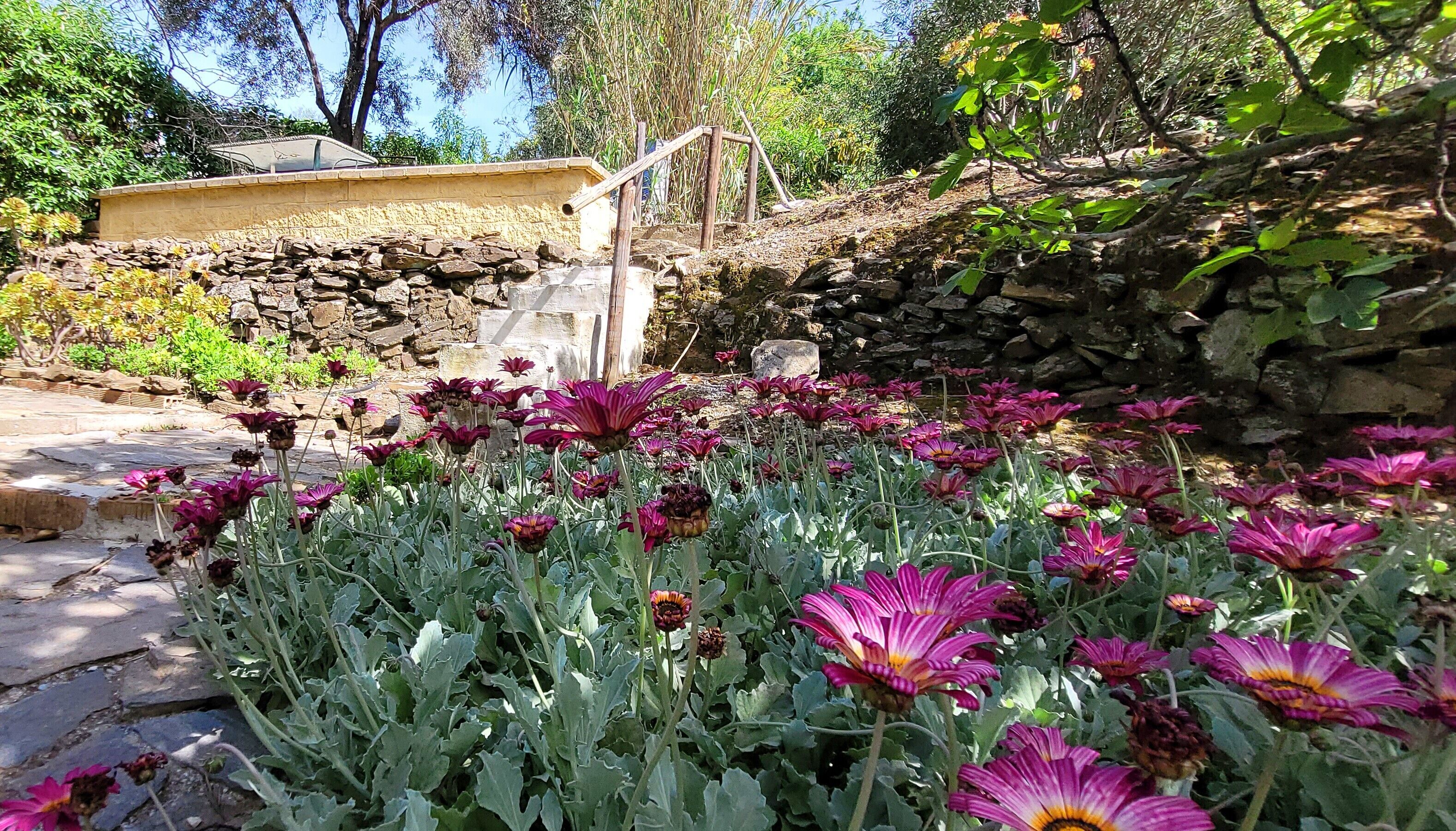 A garden with flowers, a stone wall, and a wooden bridge.
