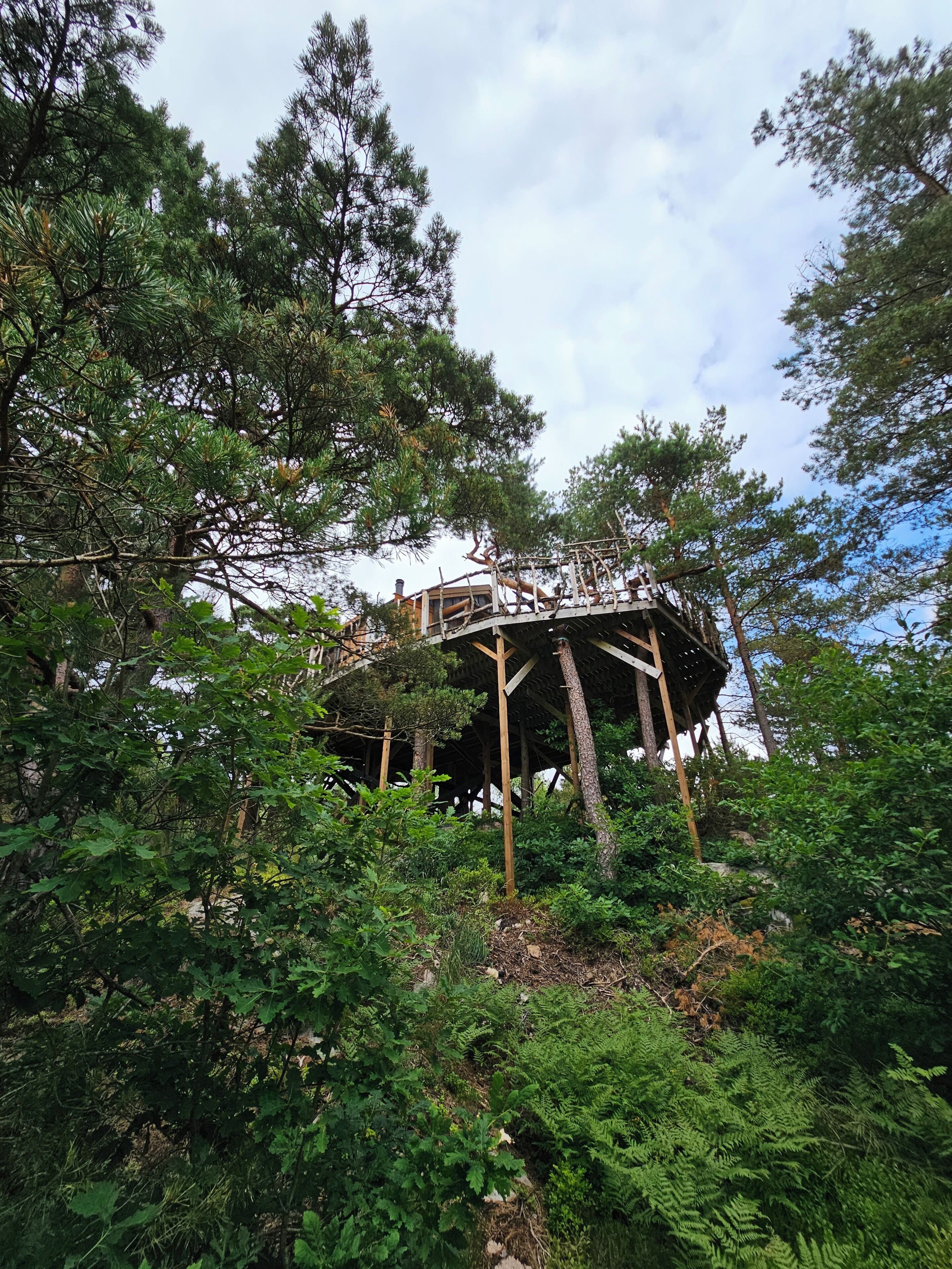 Ein Baumhaus in bewaldetem Gebiet, mit einer Holzplattform und Geländern.
