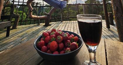 Beautiful Treetop cabin in cozy south part of Norway, perfect for a getaway