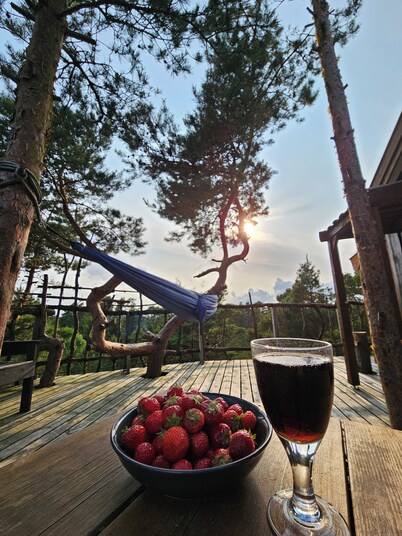 Beautiful Treetop cabin in cozy south part of Norway, perfect for a getaway