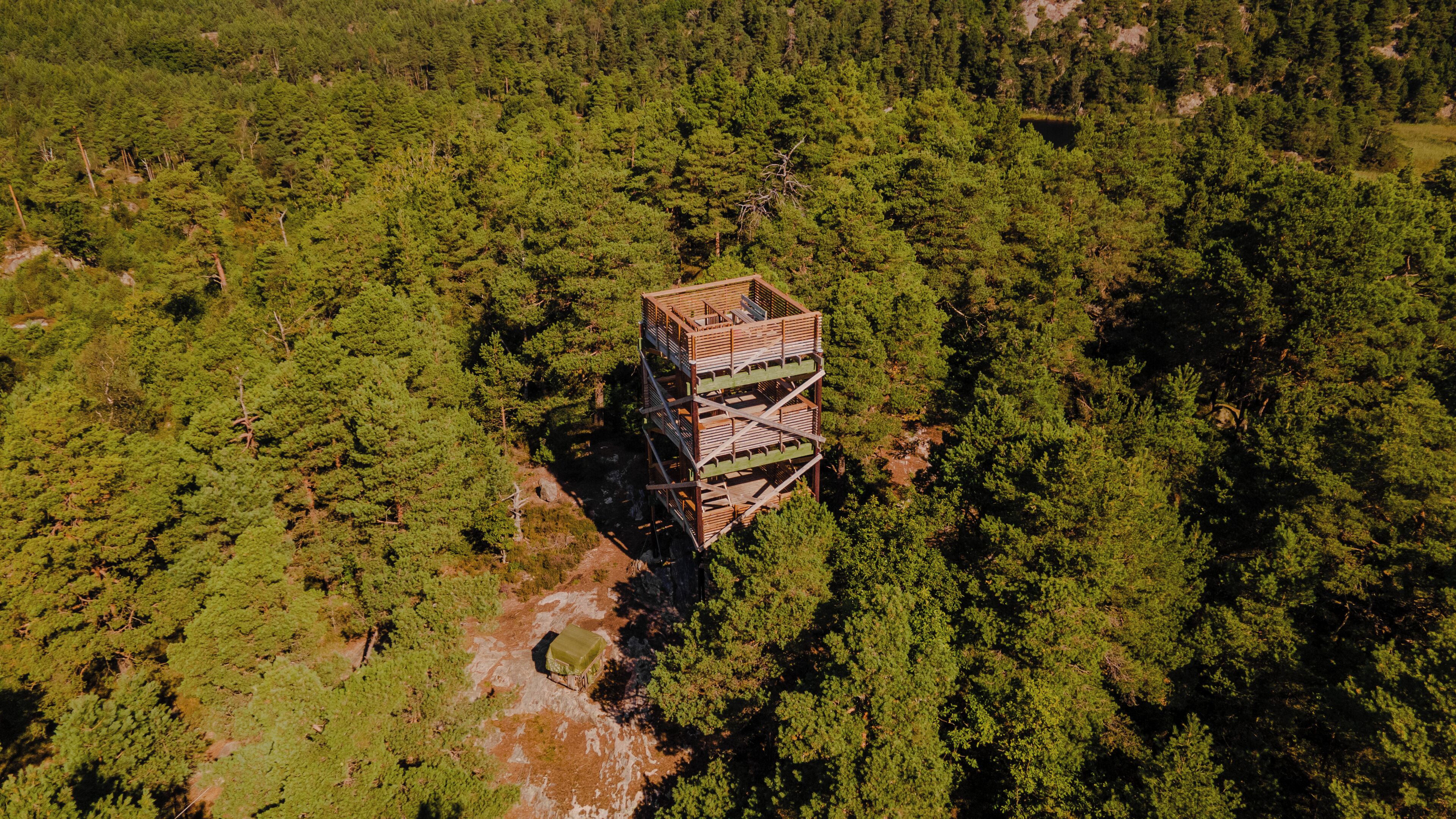 A multi-level wooden structure in a forested area.