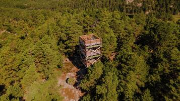 A multi-level wooden structure in a forested area.