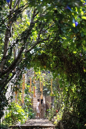 Miscellaneous - Maison Carei perched on the heights of Menton (Castellar)