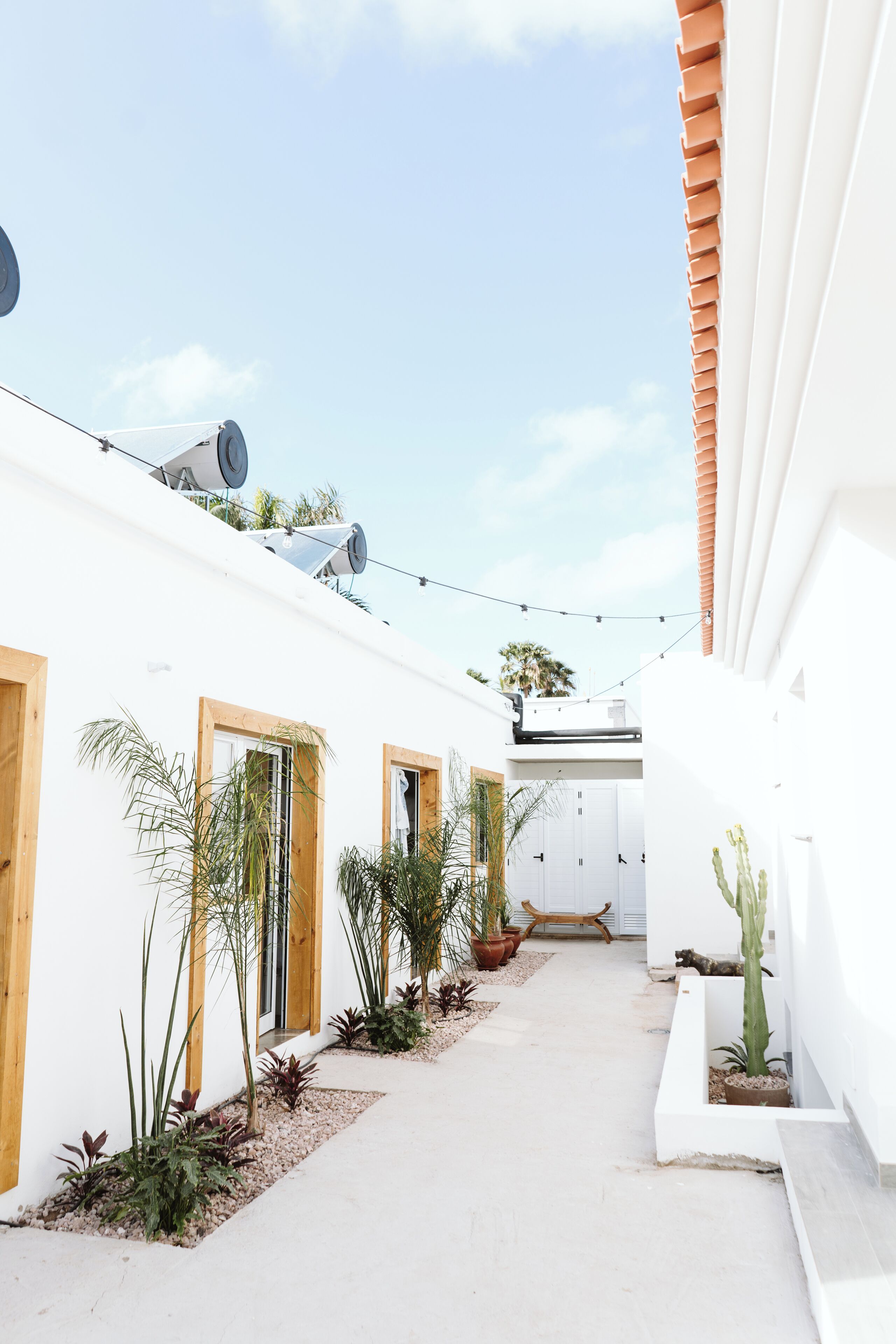 A narrow, white-walled courtyard with a tiled roof, potted plants, and a wooden bench.