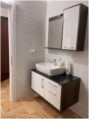 Shower, hair dryer, bidet, towels