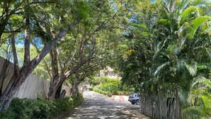 A narrow, tree-lined street with a car parked on the side. - Nature and Beach (Coco)