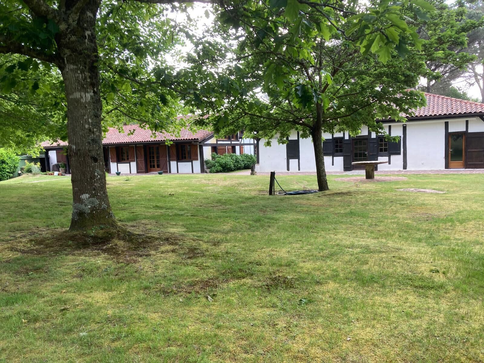 A courtyard with a white building featuring a red-tiled roof, surrounded by lush greenery and trees.