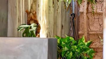 Hårføner, badekåper, håndklær og såpe