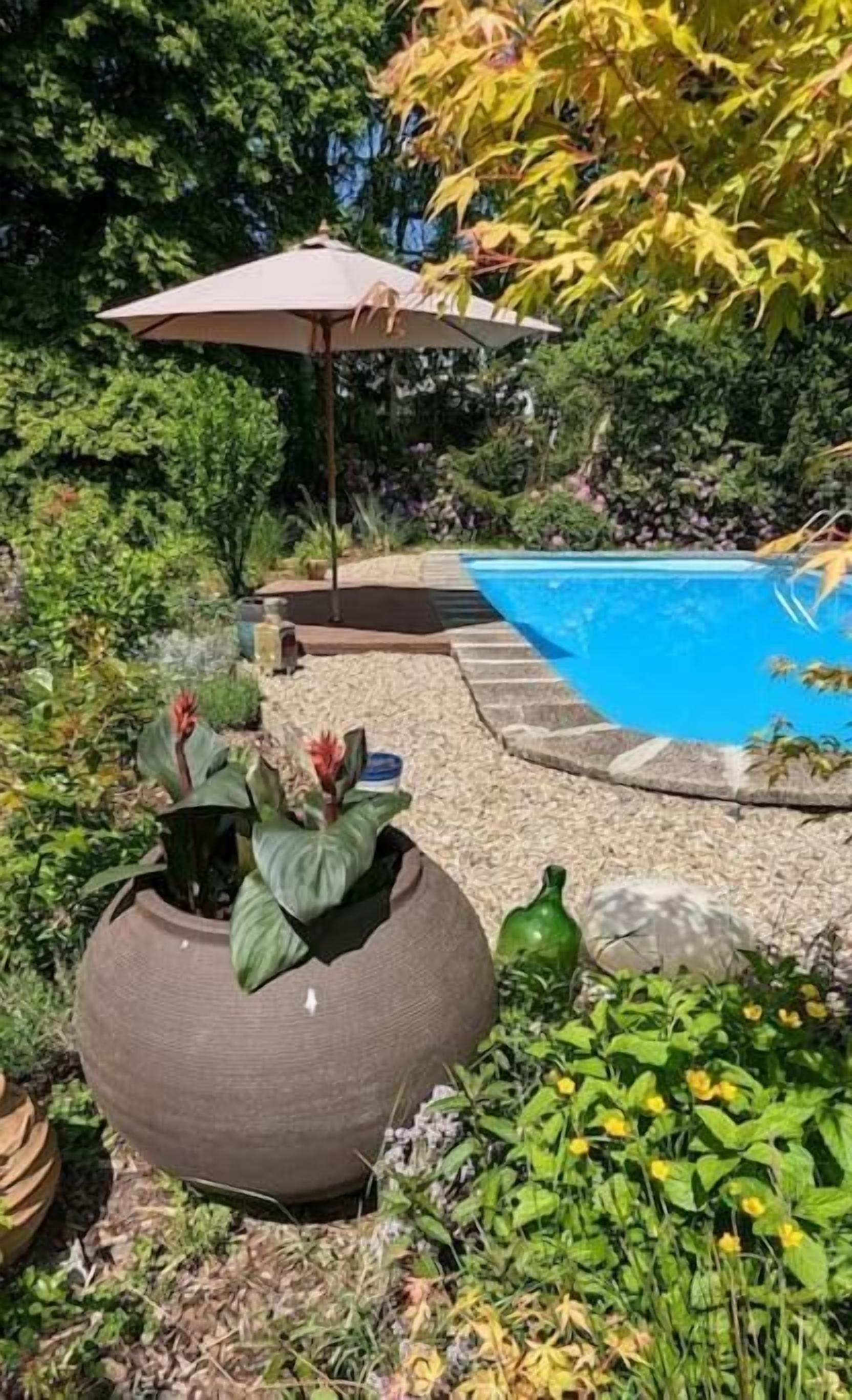 Comfort Apartment, Garden View | Pool | Seasonal outdoor pool