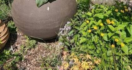 Wohnen in der Galerie