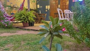 Eine Terrasse mit einem Reetdach, Sitzgelegenheiten im Freien und Blumentöpfen.