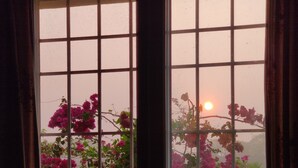Deux fenêtres donnant sur des fleurs roses et un champ verdoyant.