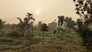 Un paysage rural avec quelques arbres épars et un bâtiment en arrière-plan.