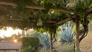 An outdoor dining area with a long table set for a meal, surrounded by greenery and a pergola. - TV145 Rustico Tramonto (Culla)