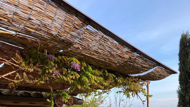 A patio with a glass table and chairs, a pergola with climbing plants, and a view of the landscape. - TV145 Rustico Tramonto (Culla)