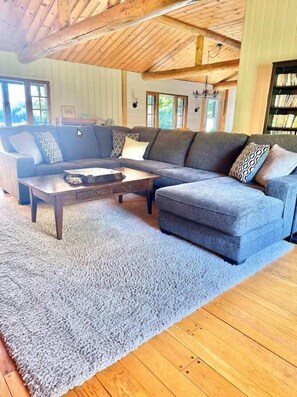 Fernseher, Kamin, DVD-Player, Arbeitsbereiche