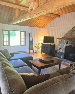 Fernseher, Kamin, DVD-Player, Arbeitsbereiche