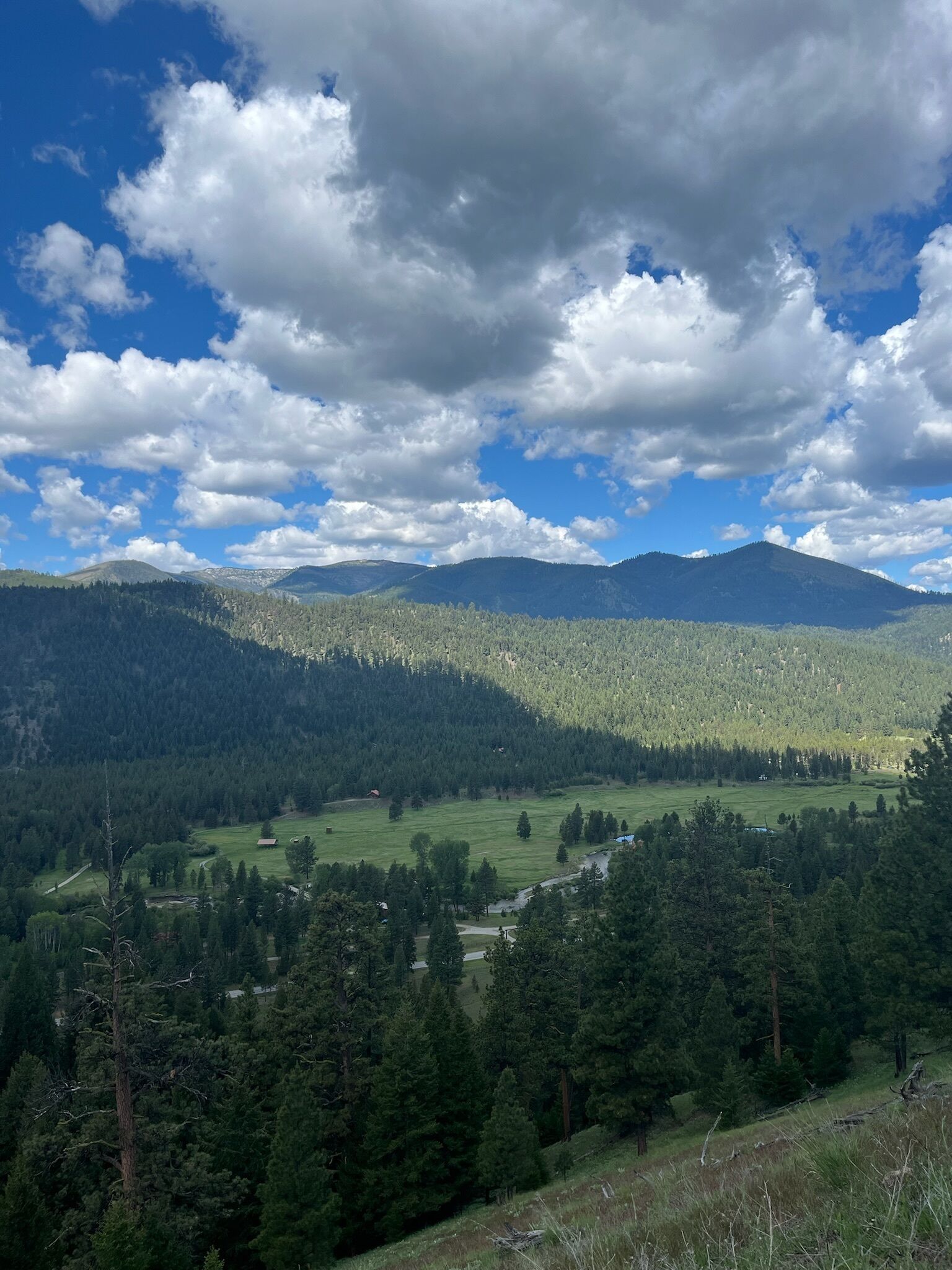 A mountainous landscape with dense forests and a clear sky.
