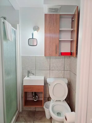 Douche, séchoir à cheveux, serviettes fournies, savon