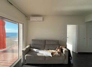 Smart-TV
