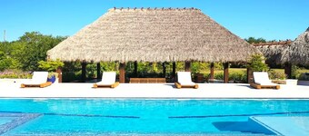 Welcome to Casa Hibiscus, your private tropical escape in Miami! 4-bd, 4-baths