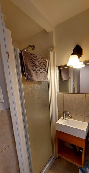 Shower, hair dryer, towels, soap