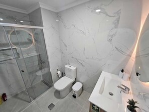 Shower, hair dryer, towels, toilet paper