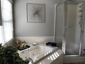 Dusche, Whirlpool, Haartrockner, Handtücher
