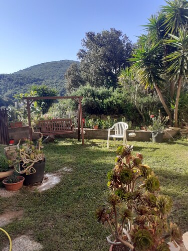 House in the green close to the sea animals allowed