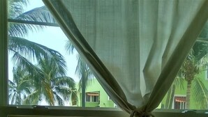 A window with a curtain tied at the top, overlooking a green building with a garden and palm trees. - King beds, Starlink, Ocean Views, Steps to beach. (Puerto escondido Oaxaca)
