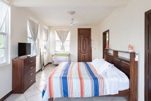 Iron/ironing board, WiFi, bed sheets - King beds, Starlink, Ocean Views, Steps to beach. (Puerto escondido Oaxaca)