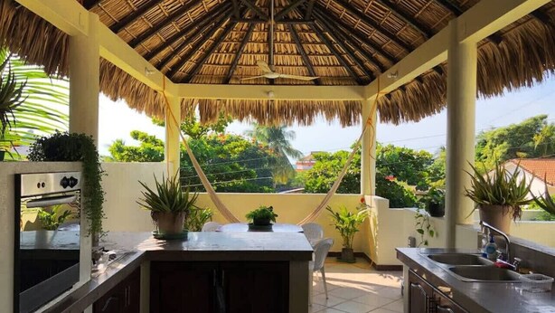 A covered outdoor kitchen with a thatched roof, potted plants, and a view of greenery. - King beds, Starlink, Ocean Views, Steps to beach. (Puerto escondido Oaxaca)