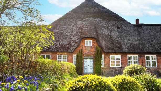 A traditional thatched-roof house with a brick facade, a central door, and a small window. - Vacation on the farm for 6 pers. (Arlewatt)