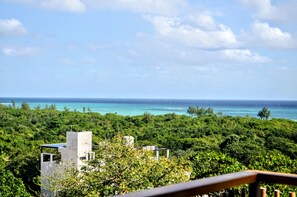 Deluxe Apartment, Sea View | Property grounds - CARIBIQUE (Playa del Carmen)