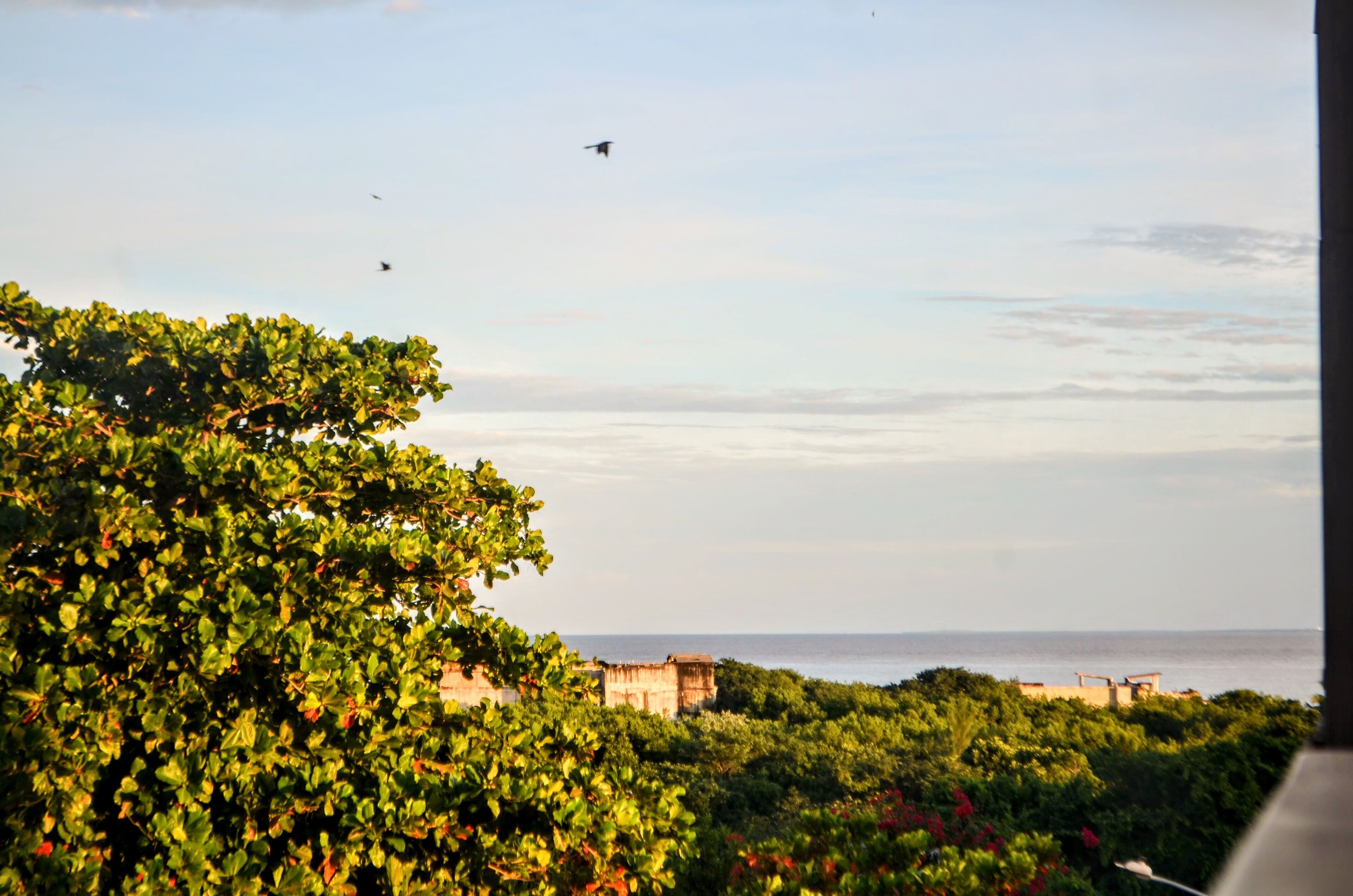 A view of a coastal area with lush greenery and a distant view of the sea.
