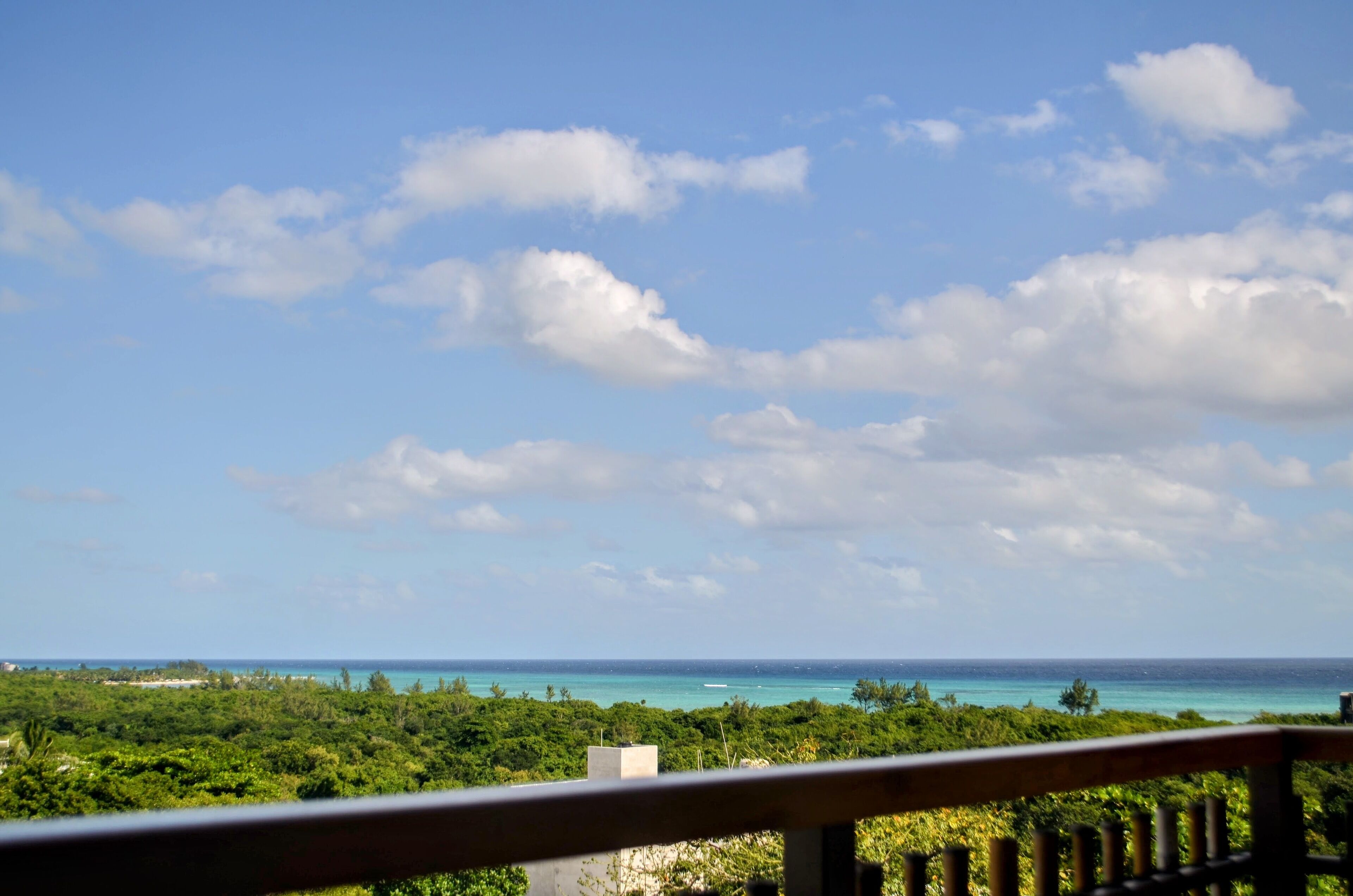 Estudio Deluxe, vista al mar | Áreas de la propiedad